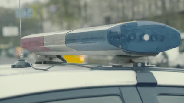 Blinklicht auf dem Dach eines Polizeiwagens. Scheuklappen. Nahaufnahme. — Stockvideo