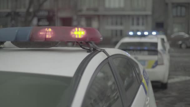 Clignotant sur le toit d'une voiture de police. Blinker. Gros plan. — Video