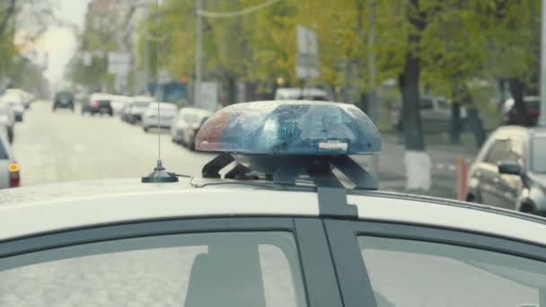 Blinklicht auf dem Dach eines Polizeiwagens. Scheuklappen. Nahaufnahme. — Stockvideo