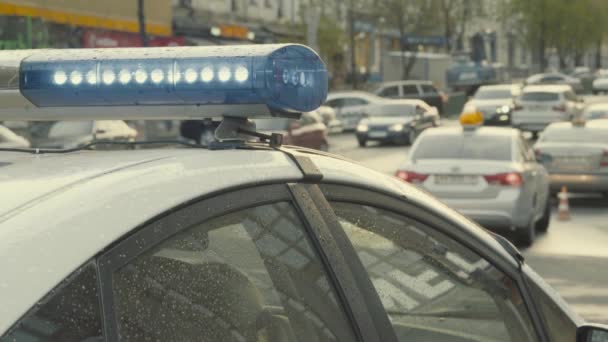 Un destello en el techo de un coche de policía. Blinker. Primer plano. — Vídeo de stock