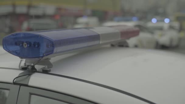 Knipperende flitser op het dak van een politieauto. Een linker. Close-up. — Stockvideo