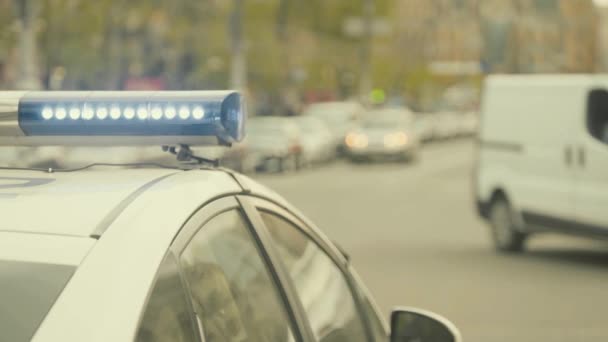 Un destello en el techo de un coche de policía. Blinker. Primer plano. — Vídeo de stock