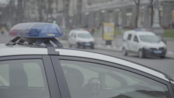 Blinkande blottare på taket till en polisbil. Blinker. Närbild. — Stockvideo