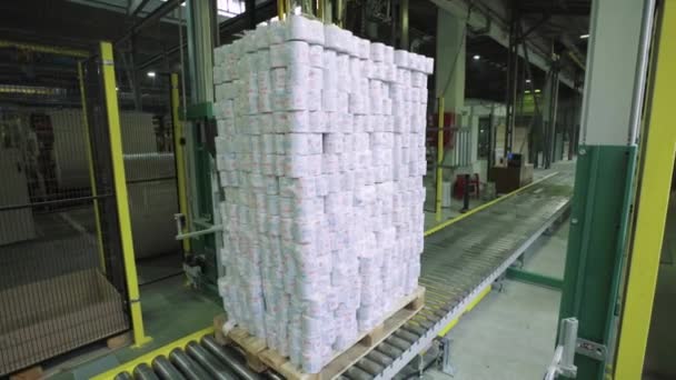 Een werkende transportband in een papierfabriek. Technologie. Fabriek. Kiev. Oekraïne. — Stockvideo