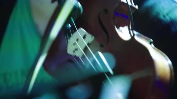 Close-up dari bermain biola. — Stok Video