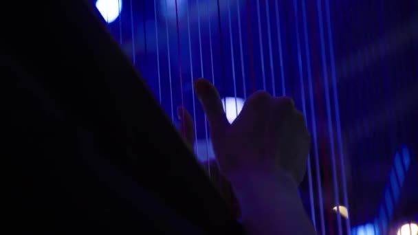 The woman plays the harp. Close-up — ストック動画