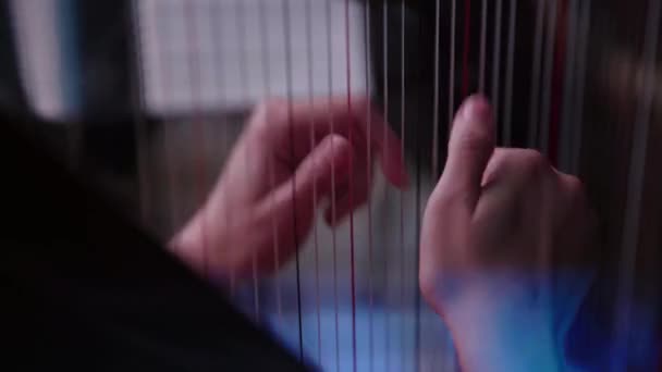 A mulher toca harpa. Close-up — Vídeo de Stock