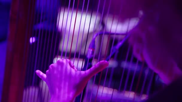 De vrouw speelt harp. Close-up — Stockvideo