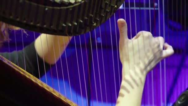 De vrouw speelt harp. Close-up — Stockvideo