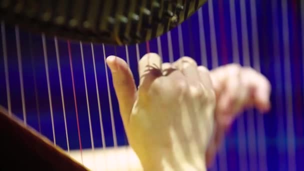 Ta žena hraje na harfu. Detailní záběr — Stock video