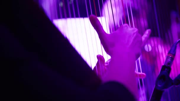 Ta žena hraje na harfu. Detailní záběr — Stock video