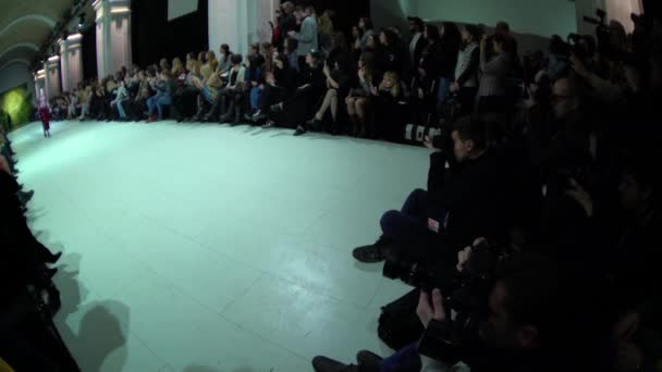 Het werk van de fotograaf op de modeshow. Druk maar. Massamedia. Journalistiek. — Stockvideo