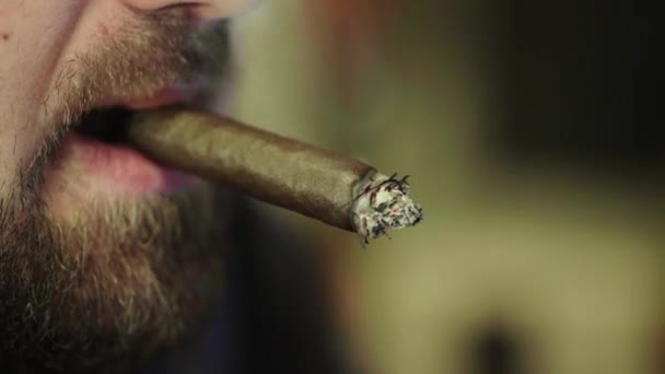Сигари в роті курців крупним планом. куріння — стокове відео