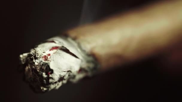 Doutník v kuřácích tlamě zblízka. Kouření — Stock video