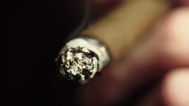 Cigare dans la bouche des fumeurs gros plan. Fumer — Video