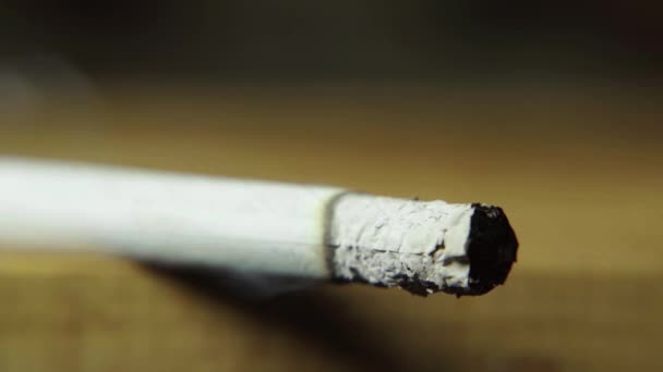 Rauchen von Tabakzigaretten Nahaufnahme Makro. — Stockvideo