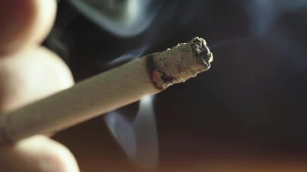 Roken van tabakssigaret close-up macro. — Stockvideo