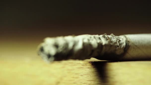 Fumer cigarette gros plan macro . — Video