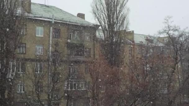 Snöfall i staden under dagen. Kiev. Ukraina — Stockvideo