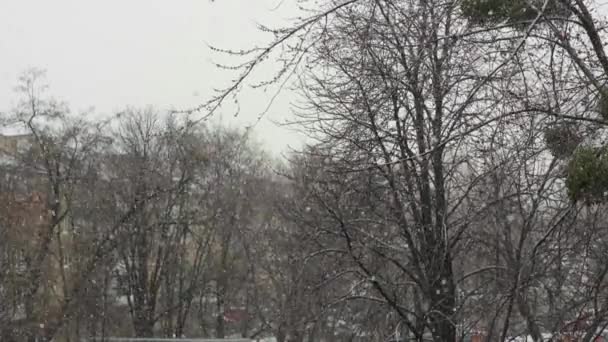 Snöfall i staden under dagen. Kiev. Ukraina — Stockvideo