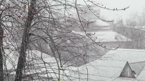 Nevadas en la ciudad durante el día. Kiev. Ucrania. Movimiento lento — Vídeo de stock