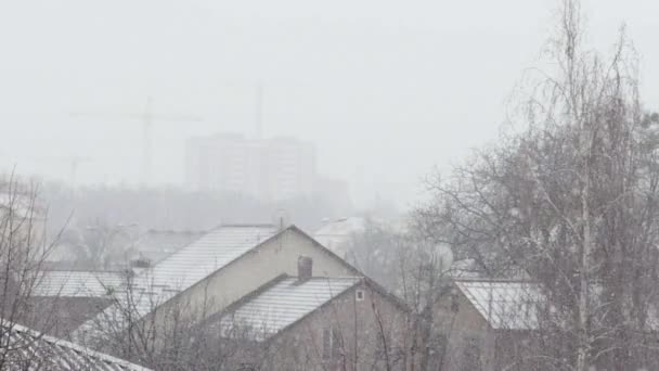 Gün boyunca şehirde kar yağışı. Kyiv. Ukrayna. Yavaş çekim — Stok video