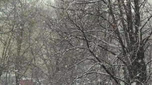 Chute de neige dans la ville pendant la journée. Kiev. Ukraine. Mouvement lent 