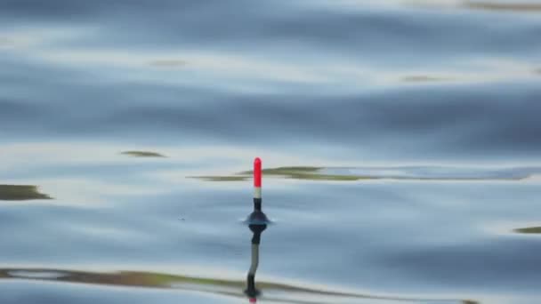 Close-up de um flutuador na água durante a pesca . — Vídeo de Stock