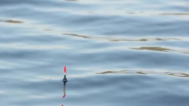 Närbild av en flottör på vattnet under fisket. — Stockvideo