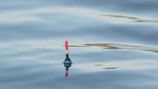 Primer plano de un flotador en el agua durante la pesca . — Vídeo de stock