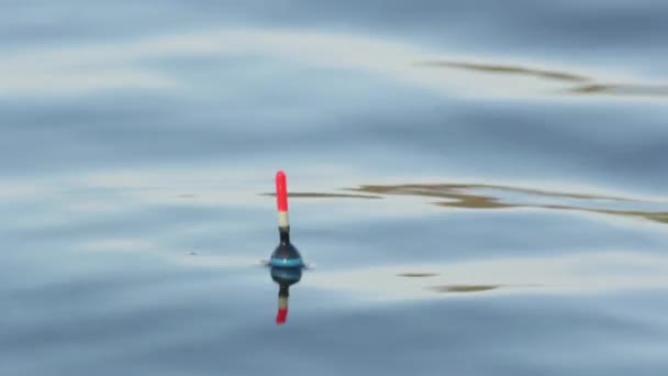 Close-up van een vlotter op het water tijdens het vissen. — Stockvideo