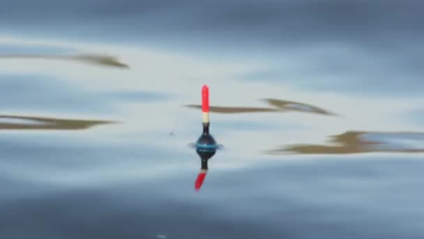 Close-up van een vlotter op het water tijdens het vissen. — Stockvideo