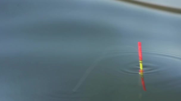 Close-up of a float on the water during fishing. — 비디오