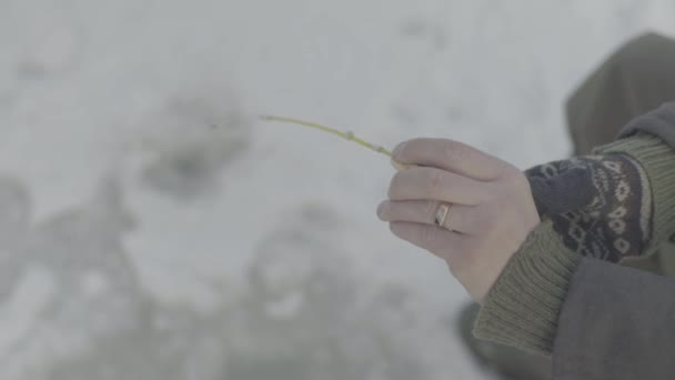 Pesca de invierno. Hombre pescador capturas de peces en invierno — Vídeo de stock