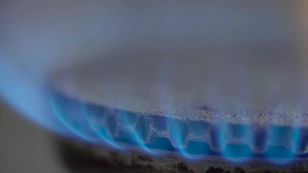 Close-up van een brand in een gasfornuis op een gasfornuis — Stockvideo