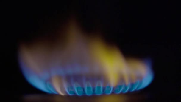 Close-up of a fire in a gas stoker on a gas stove — Stock Video