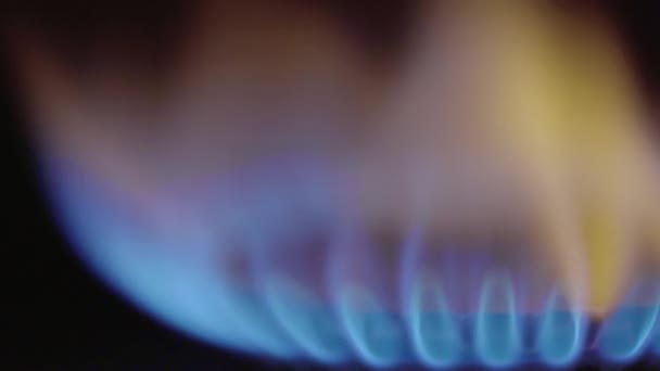 Close-up of a fire in a gas stoker on a gas stove — Stock Video