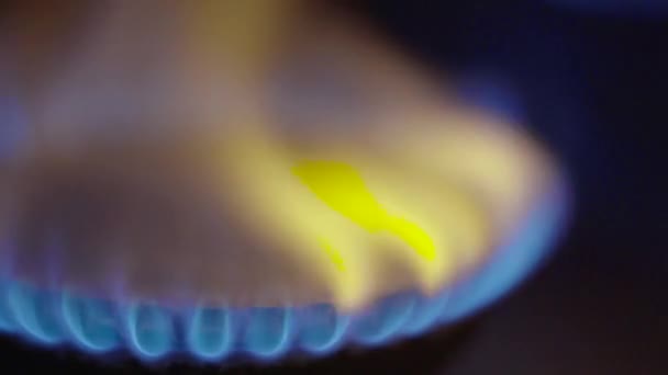 Primer plano de un incendio en una estufa de gas en una estufa de gas — Vídeo de stock