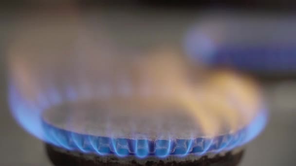 Zbliżenie ognia w palniku gazowym na kuchence gazowej — Wideo stockowe