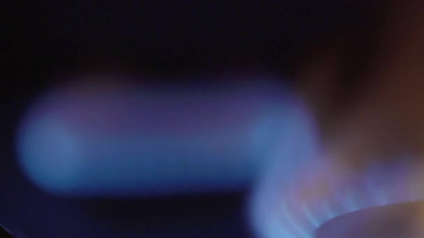 Крупный план пожара в газовой печи на газовой плите — стоковое видео