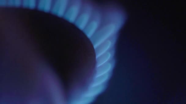 Close-up van een brand in een gasfornuis op een gasfornuis — Stockvideo