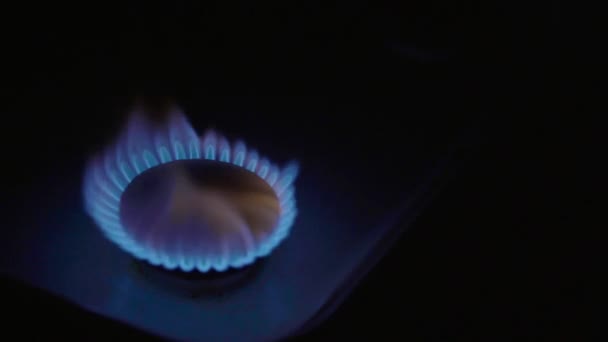 Close-up of a fire in a gas stoker on a gas stove — 비디오