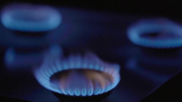 Крупный план пожара в газовой печи на газовой плите — стоковое видео