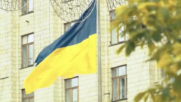 Ukrajinská vlajka. Detailní záběr. Ukrajina. Kyjev — Stock video