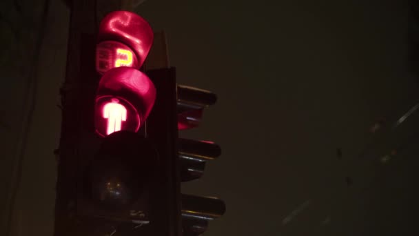 Светофор на дороге ночью. Крупный план. Киев. Украина — стоковое видео