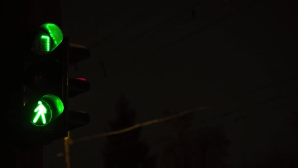 Ampel auf der Straße nachts. Nahaufnahme. kyiv. Ukraine — Stockvideo