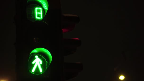Traffic light on the road at night. Close-up. Kyiv. Ukraine — Stock Video