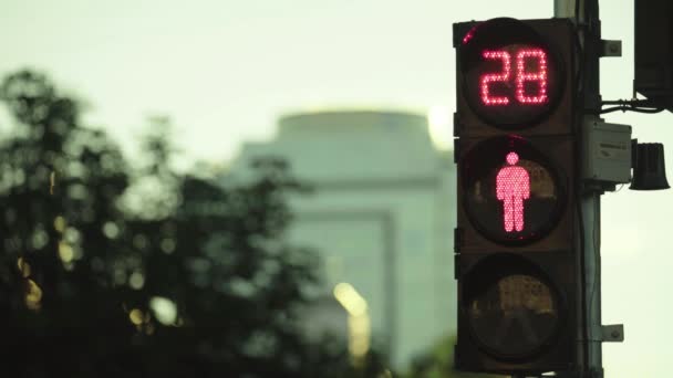 Traffic light on the road during the day. Close-up. Kyiv. Ukraine — Stock Video