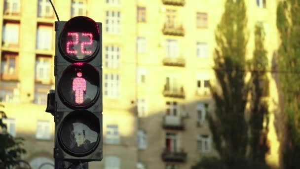 Trafikljus på vägen under dagen. Närbild. Kiev. Ukraina — Stockvideo