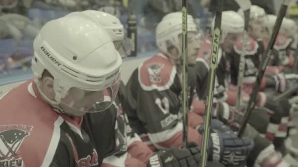 Match de hockey. Joueurs de hockey pendant le match — Video